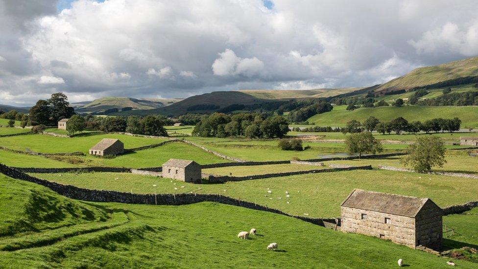 Barns in the Yorkshire Dales