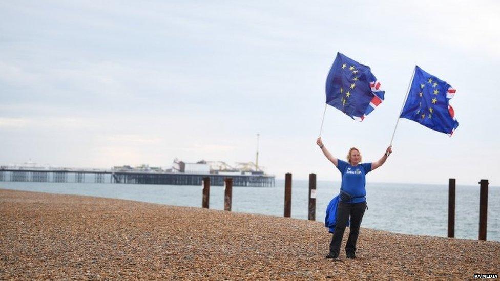 Anti-Brexit protester