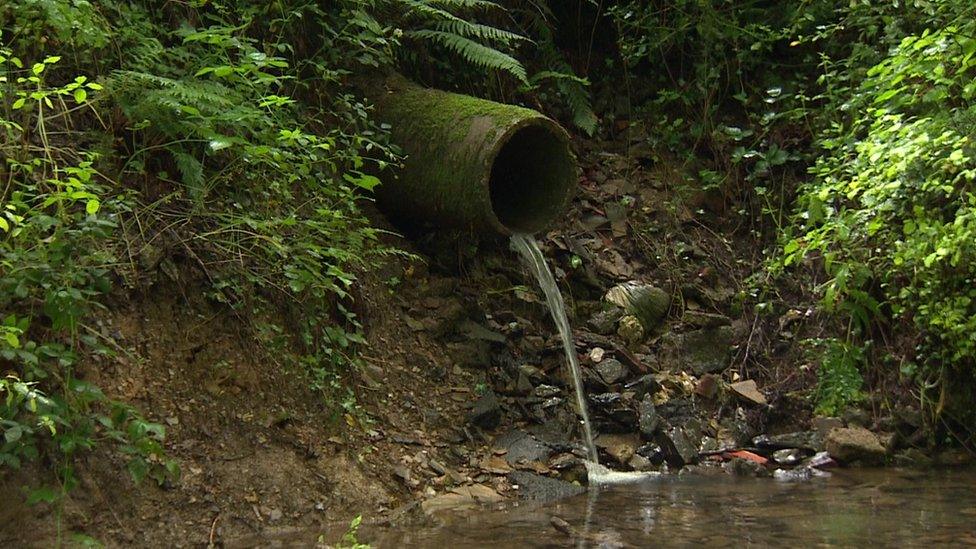 Water pours out of pipe into stream