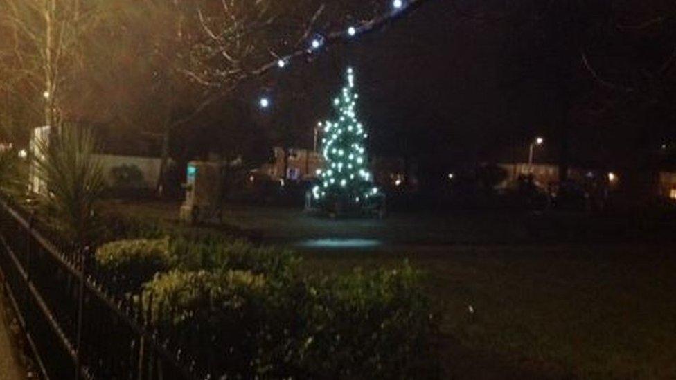 One of Porthmadog town's two trees