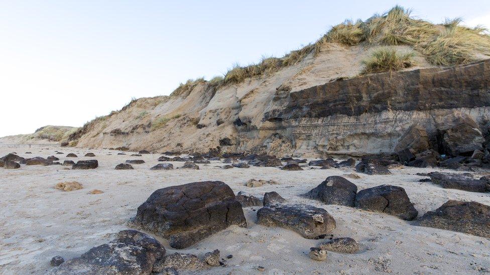 Photo issued by National Trust of tobacco in the sand at Formby