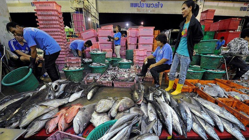 Workers sort fish out at the Mahachai fish market in Samut Sakhon on July 31, 2011.