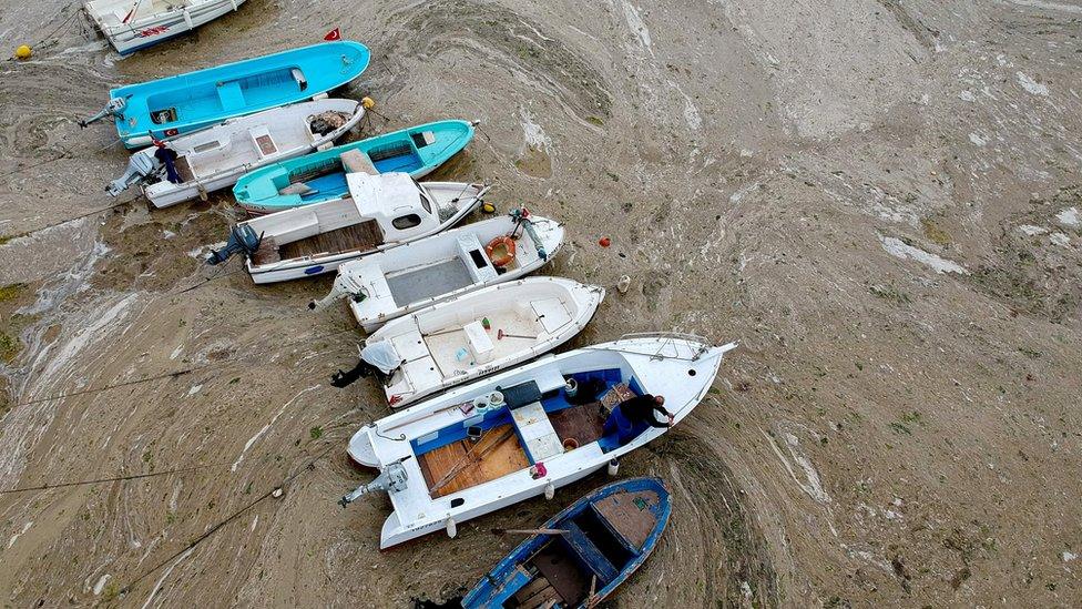 Fishing boats are being covered by sea snot