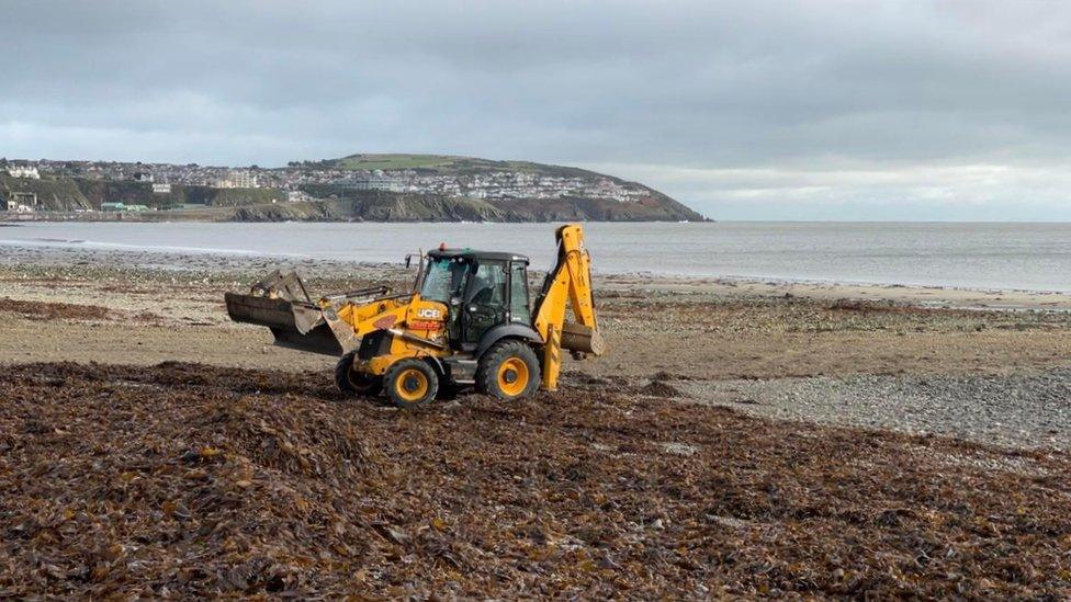 Digger cleaning debris built up on beach