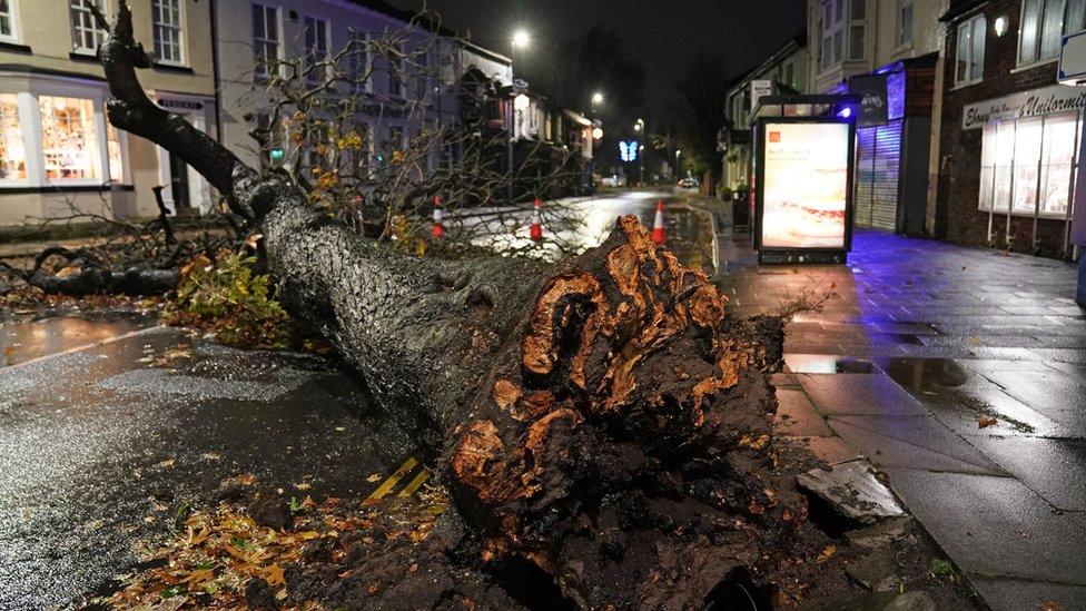 A fallen tree blocks a road in the centre of Norton village in Teesside