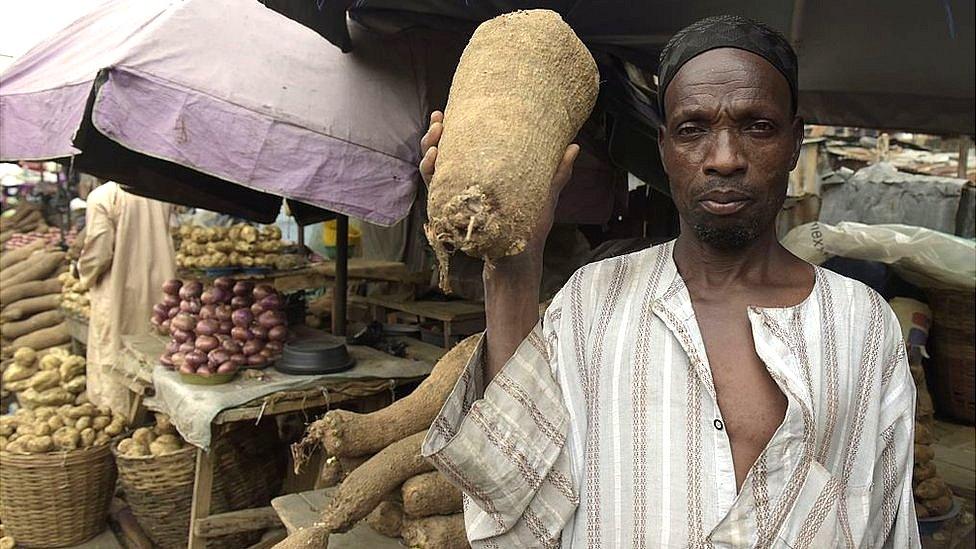 A vendor holds a tuber of yam for sale at Mile 12 market in Lagos, on June 21, 2016. Ordinary Nigerians are feeling the full effects of spiralling inflation which in May soared to a more than six-year high of 15.6 percent. The cost of living is predicted to rise further after Nigeria this week scrapped the naira's peg to the US dollar, allowing the currency to float.