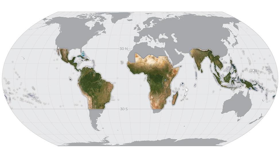 Base map