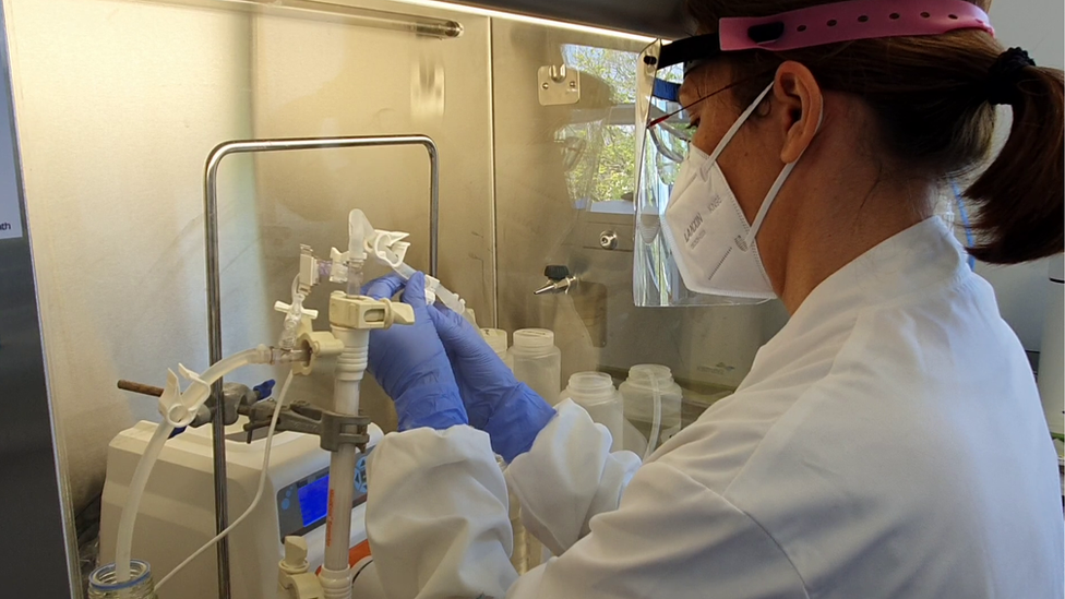 Woman conducting sewage sample test