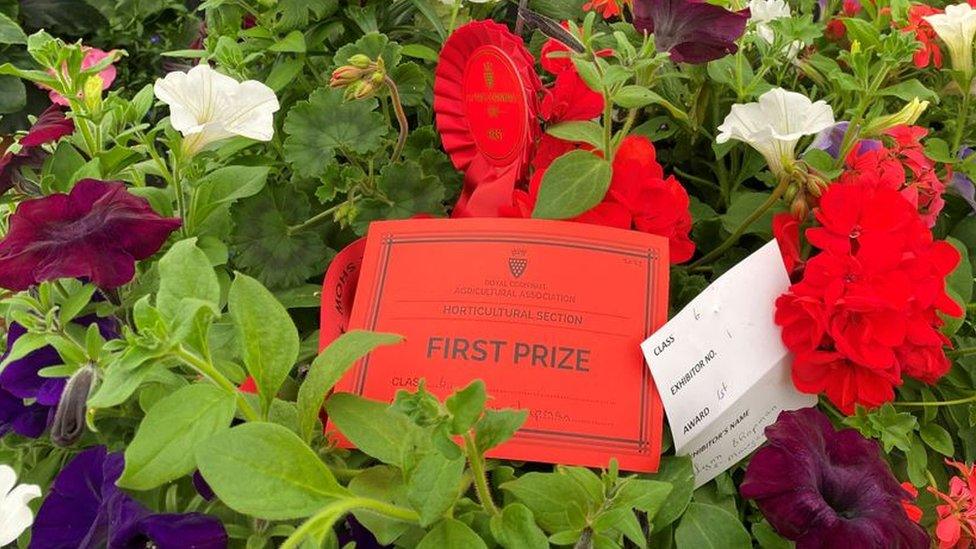 'First Prize' certificate on flowers