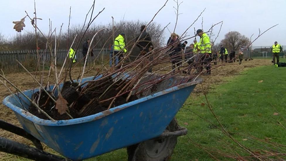 People planting trees