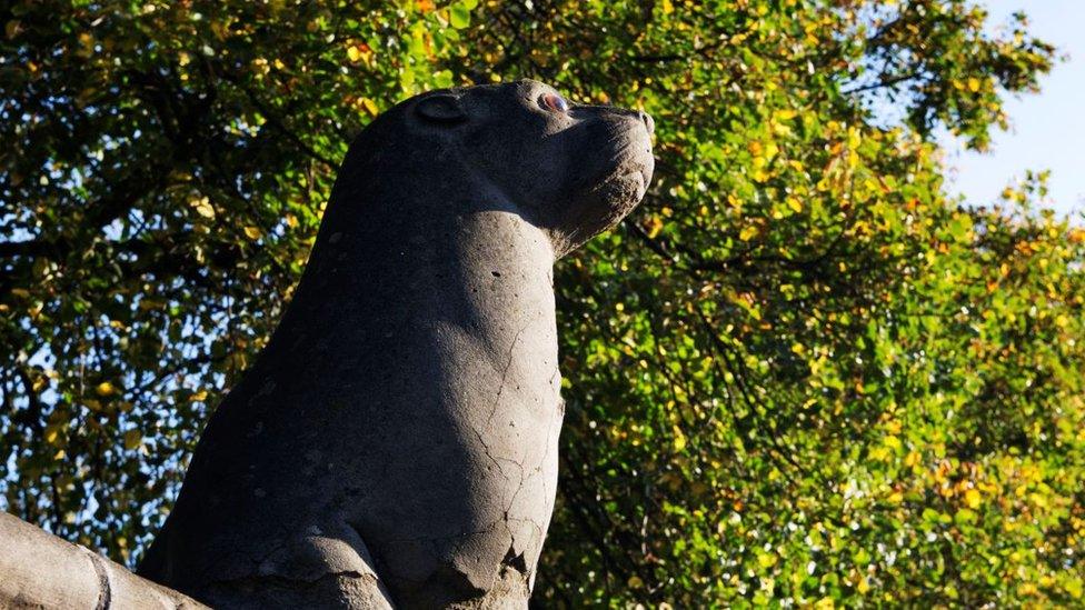 Seal on the wall