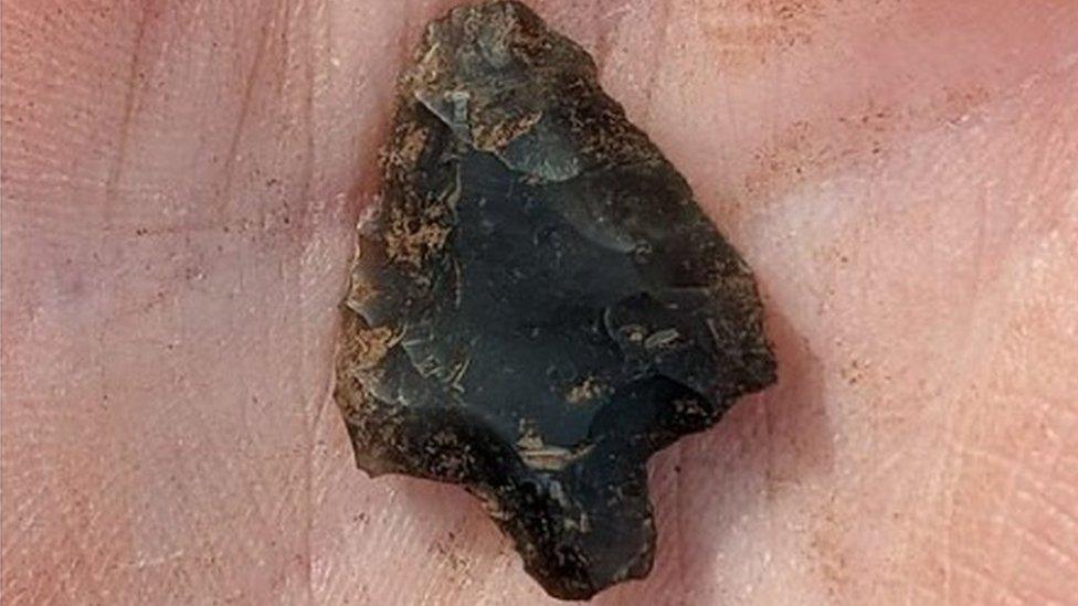 An arrowhead found last year