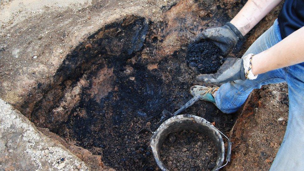 Burnt grains and timbers found while excavating a grain-drying kiln at Torvean