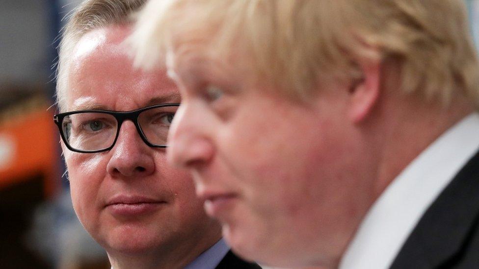 Michael Gove and Boris Johnson