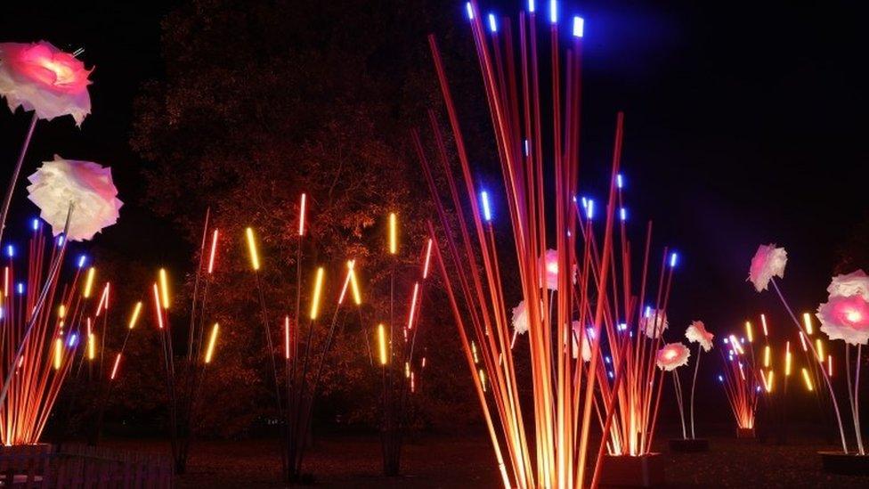 A view of part of the illuminated trail through Kew Gardens after-dark landscape, during a preview for Christmas at Kew Gardens, London