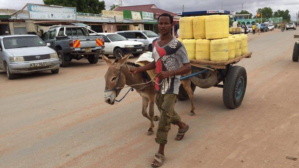 Donkey on a road in Wajir, Kenya