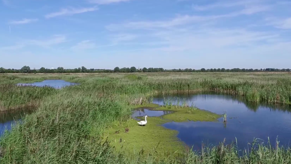 Ouse Fen