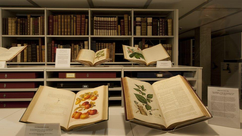 A number of old books in display on desks with shelves containing further volumes beyond