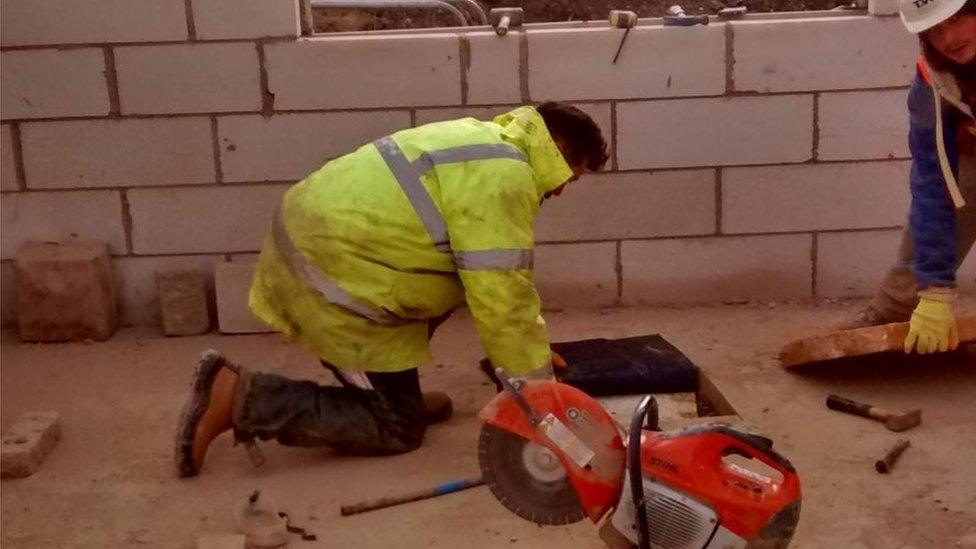 Builders rescuing cat