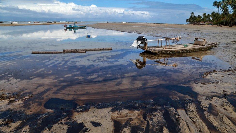 Oil sitting on the surface of the water near Maragogi