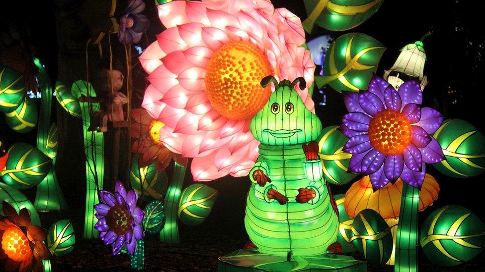 Chinese Lantern displays in Leeds