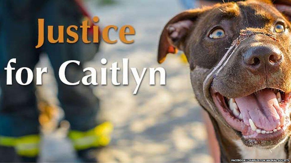 Justice for Caitlyn