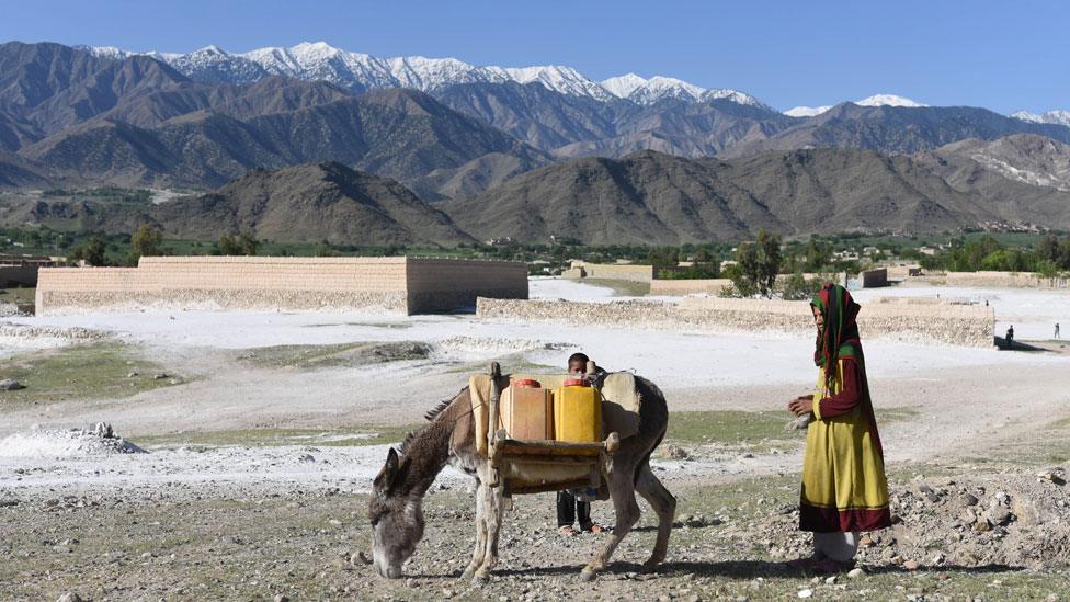 Woman with donket and child