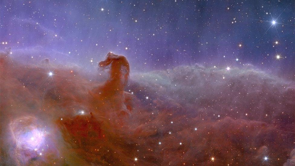 Horsehead Nebula