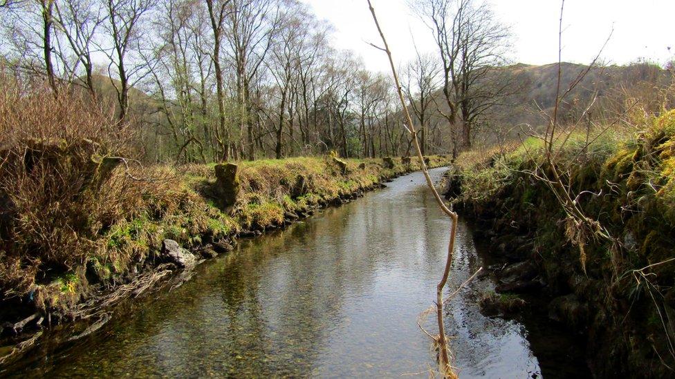 Goldrill Beck