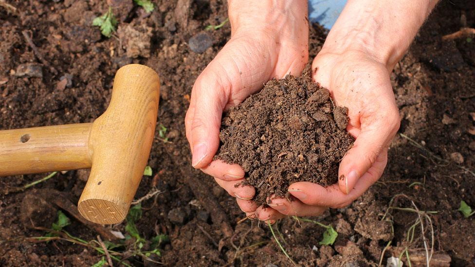 Hands holding soil