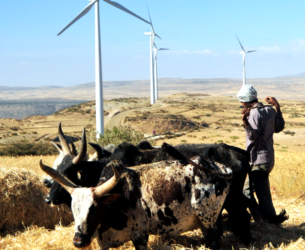 A man works along a road near turbines at Ashegoda wind farm in Ethiopia's northern Tigray region, on November 28, 2013