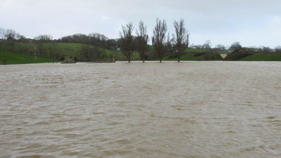 Afon Clwyd yn Llanelwy