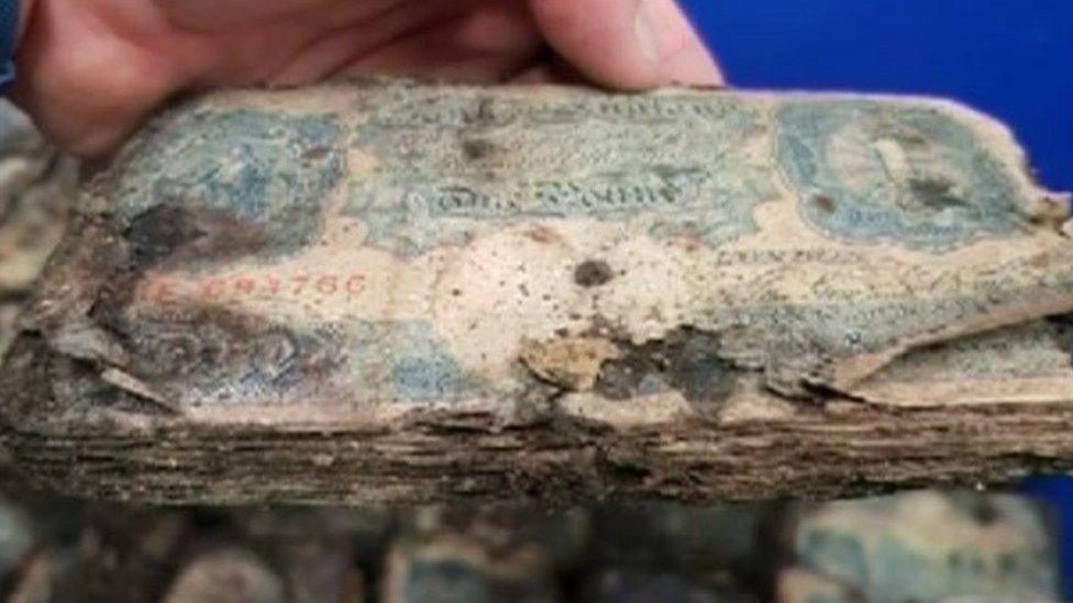 Decaying bank notes found in Brighton shop