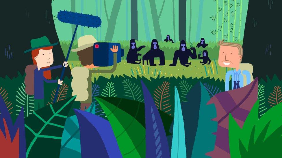 Sir David Attenborough's animated stories