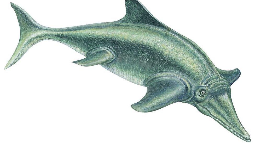 ichthyosaur