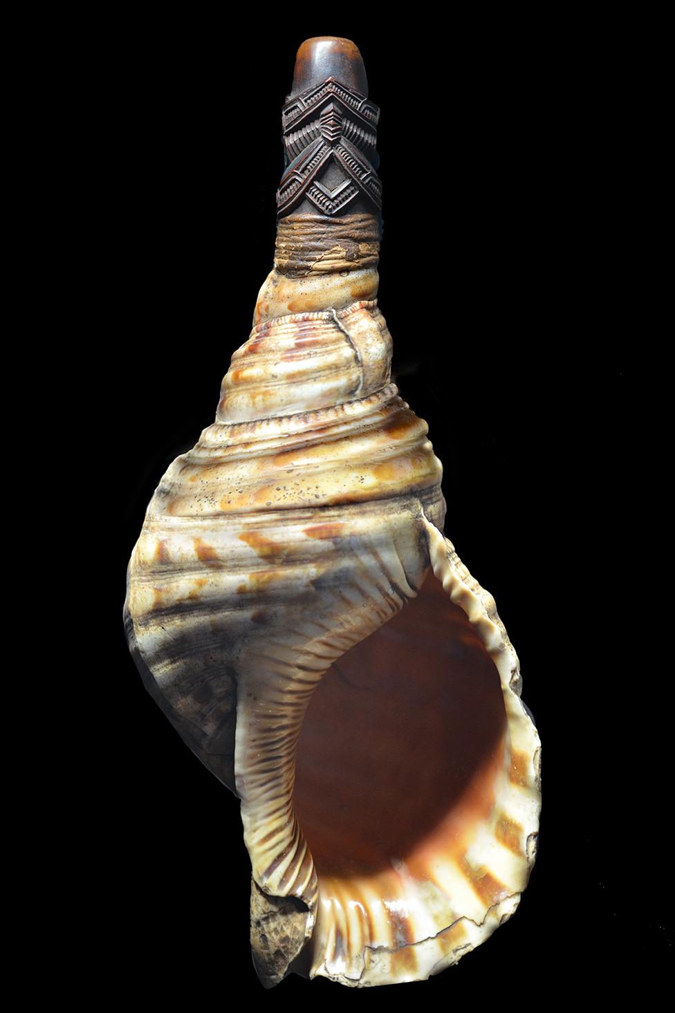 Shell