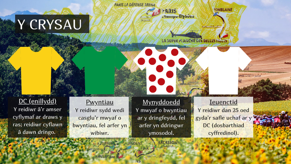 Canllaw crysau'r Tour de France