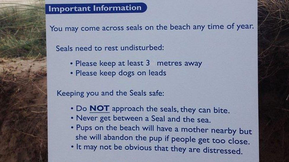 seals sign