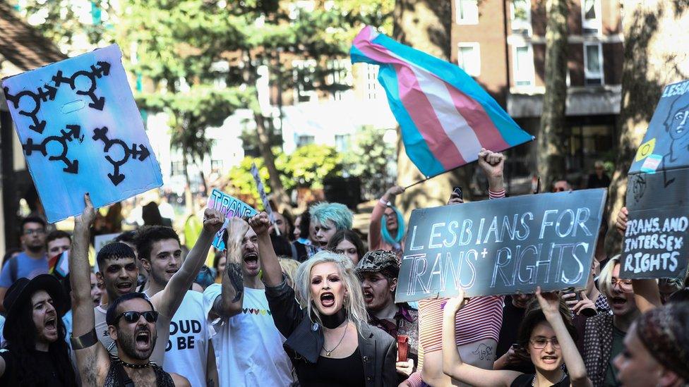 Trans Pride demonstrators