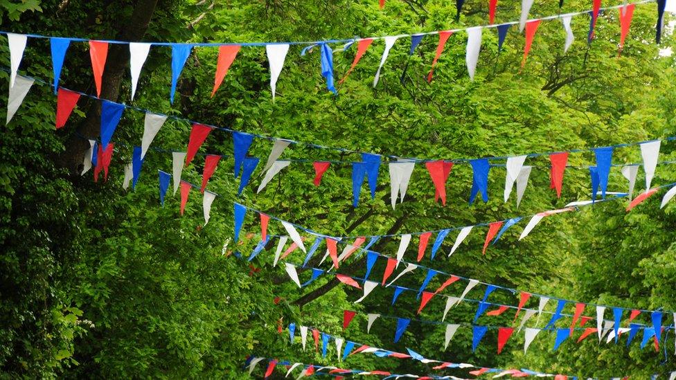 Bunting - generic