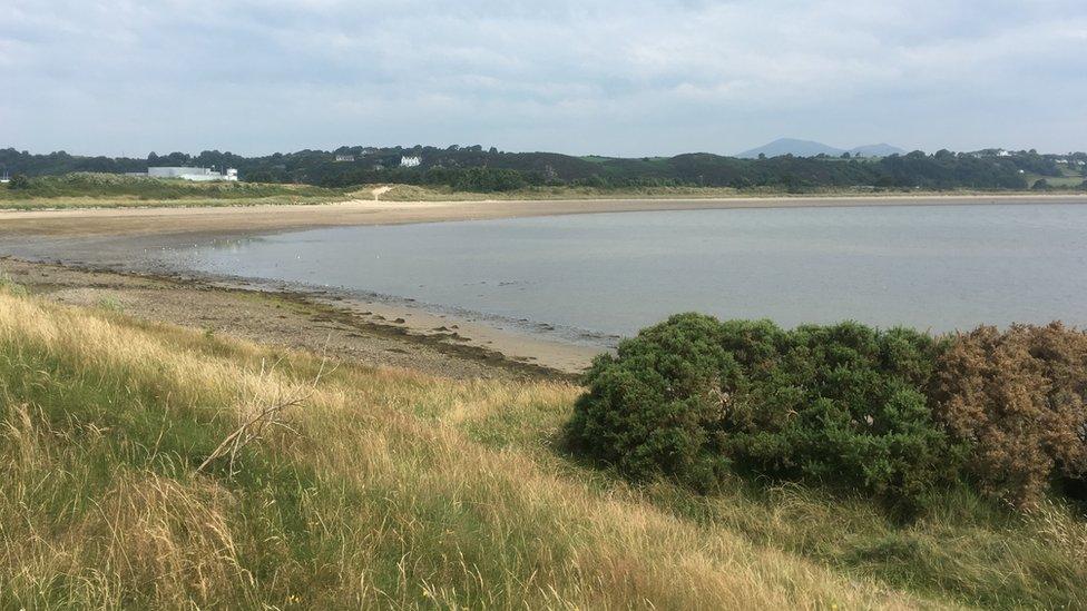 Pwllheli beach, Wales: possible haven to angel shark