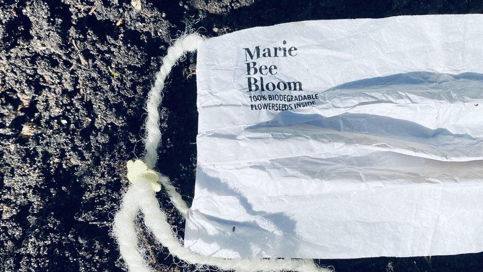 marie bee bloom face mask