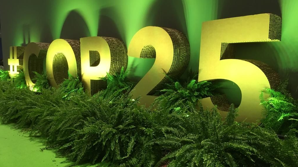 COP25 logo