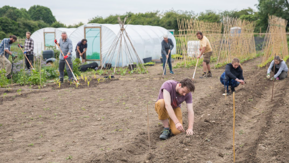 Volunteers planting in field