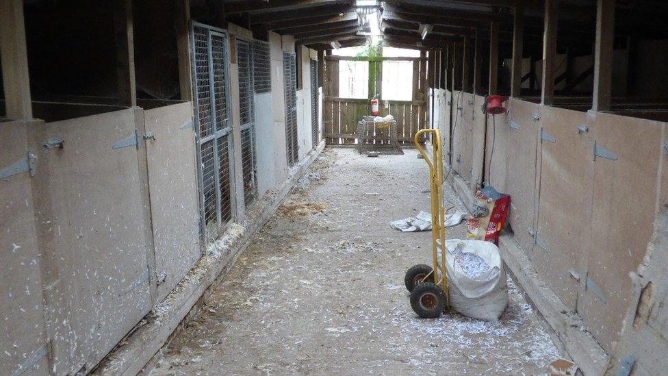 One of the sheds on Margaret Davies' property