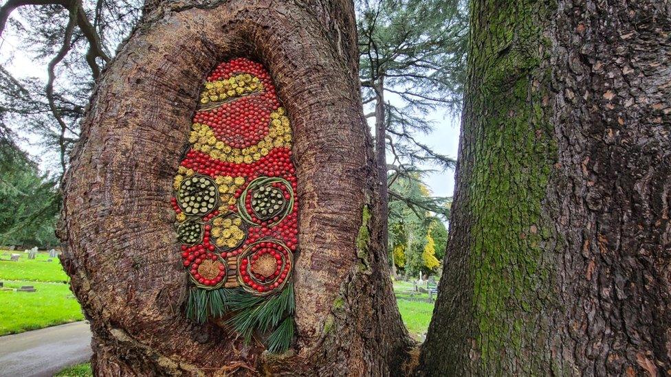 A sculpture set inside the hollow of a huge knot in a tree trunk