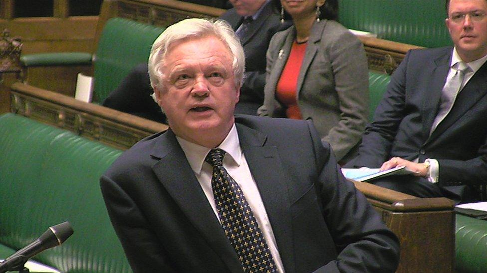 David Davis in Parliament