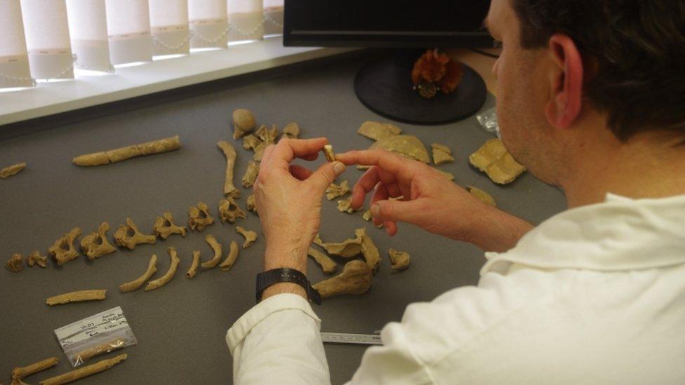 Bones being examined