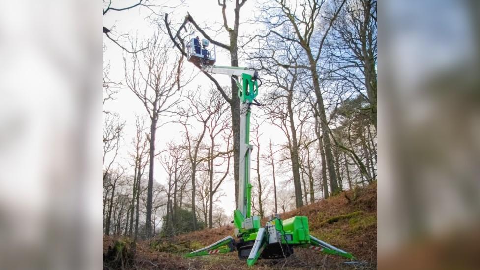 Worker in a cherry picker attends a damaged tree branch