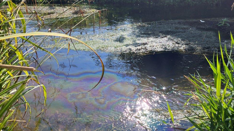 Apparent oil slick in the River Purwell